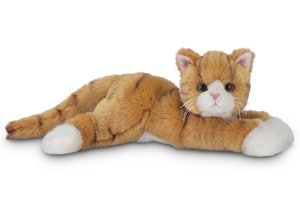 Tabby